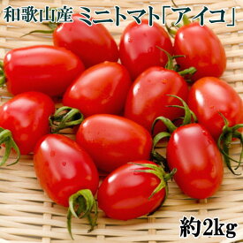 ZD7012_和歌山産ミニトマト「アイコトマト」約2kg（S・Mサイズおまかせ）