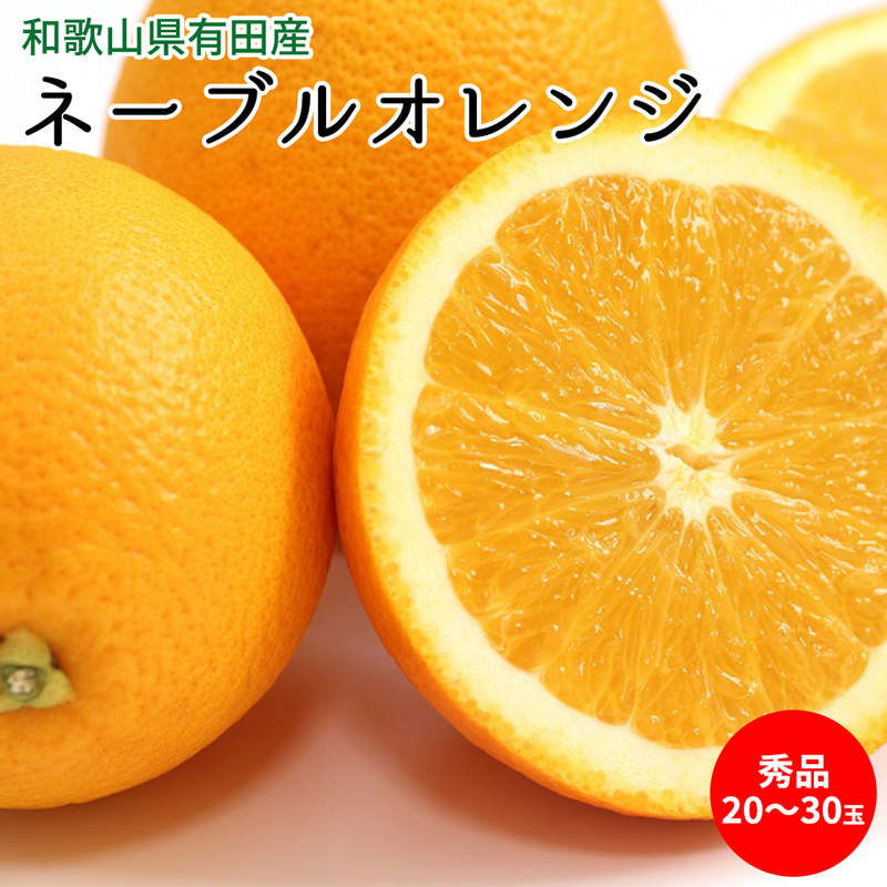 無料長期保証 ネーブルオレンジ 国産オレンジ 5kg
