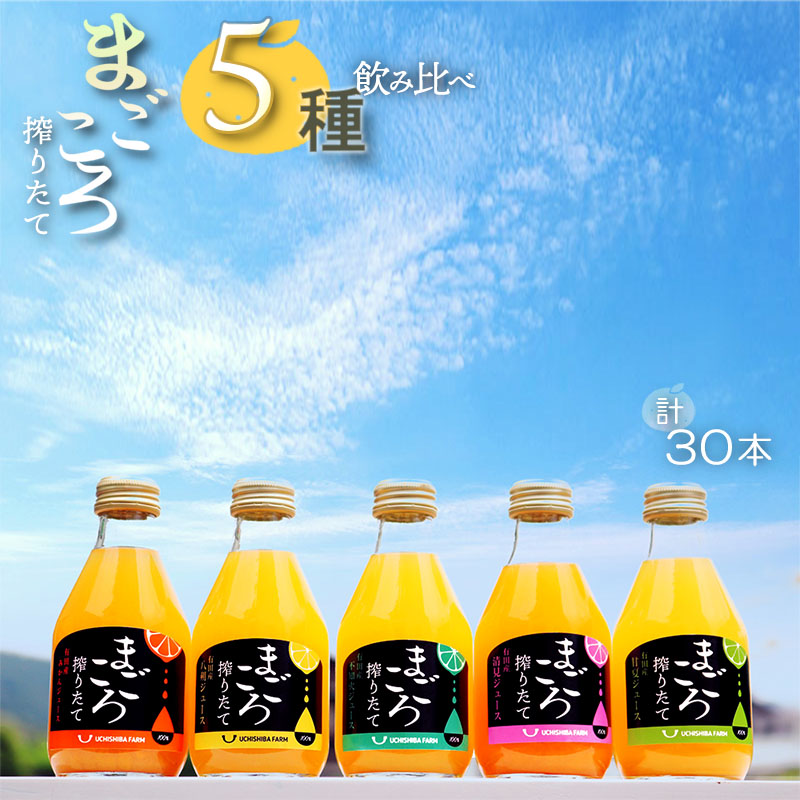 瀬戸内サイダー（しょうが味）200ml×12本 広島 三原 高知 生姜 無添加 - ふるさとパレット ～東急グループのふるさと納税～