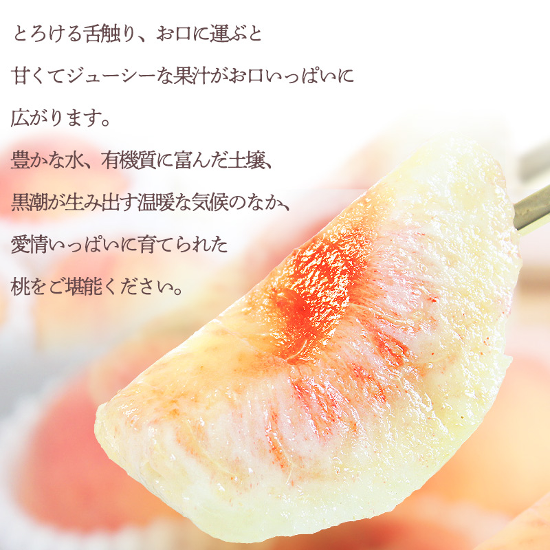 G6161_【先行予約】紀州和歌山産の 桃 3玉 化粧箱入