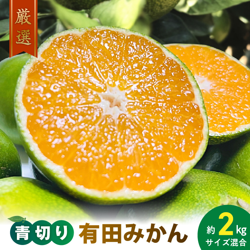 AB7071n_【先行予約】【旬の果実】厳選!濃厚 青切り 有田みかん 2kg (サイズ混合)