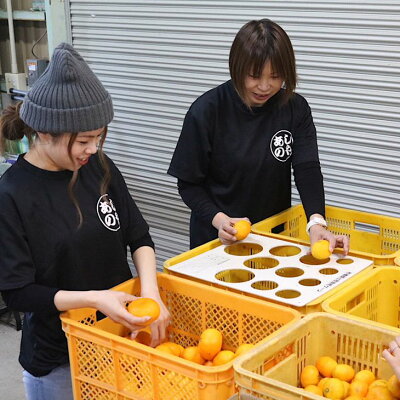 ZE6348n_和歌山県産 有田みかん 5kg (2S～Lサイズ混合)【まごころ手選別】