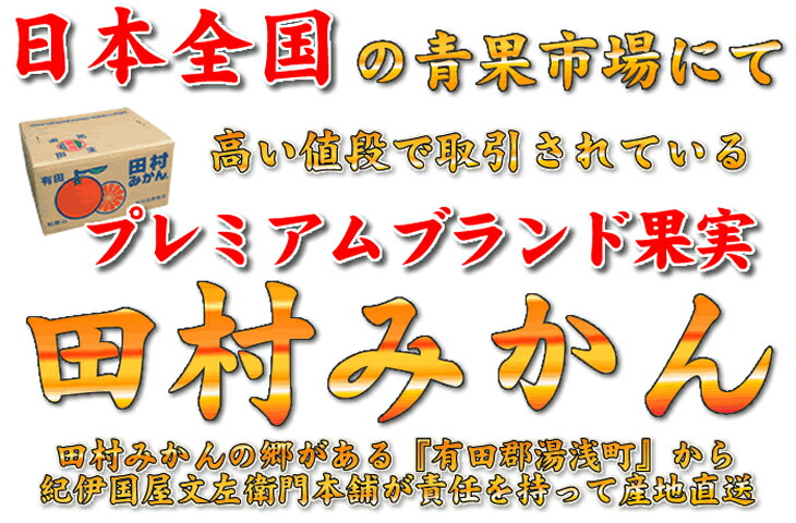 V7053_【2024年 先行予約】田村みかん 5kg 青秀 【サイズ指定なし】