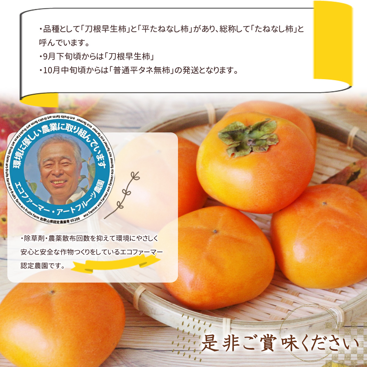 EB6013_【和歌山県産】採れたて 種なし柿 M～2Lサイズおまかせ 40～32個詰 7.5kg箱