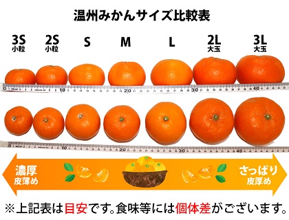 ZA96004_田村みかん 約10kg (小粒:2S～3Sサイズ)【紀州グルメ市場】