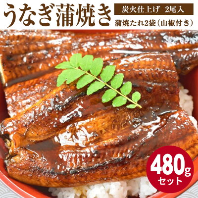 AZ6023_うなぎ蒲焼き 2尾入 (合計480g) 蒲焼たれ2袋（山椒付き）