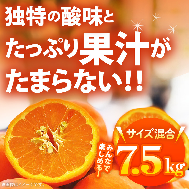 AB7105n_（先行予約）有田育ちの爽快 セミノール オレンジ 【訳あり 家庭用】7.5kg