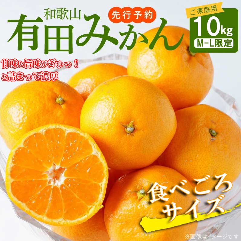 AT6310_【先行予約】【ご家庭用】有田みかん 約10kg (M、Lサイズ)【湯浅町】