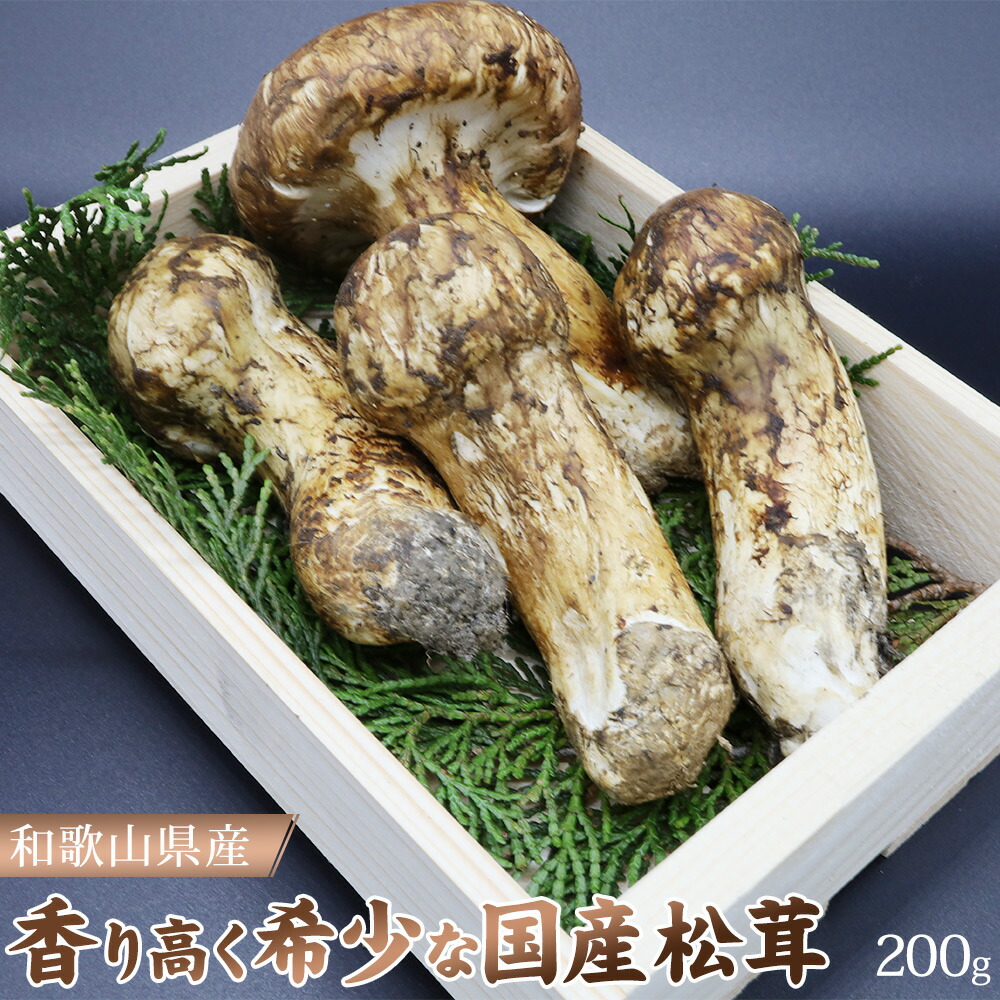 EL6001_【和歌山県産】香り高く希少な国産！ 松茸 約200g - ふるさと