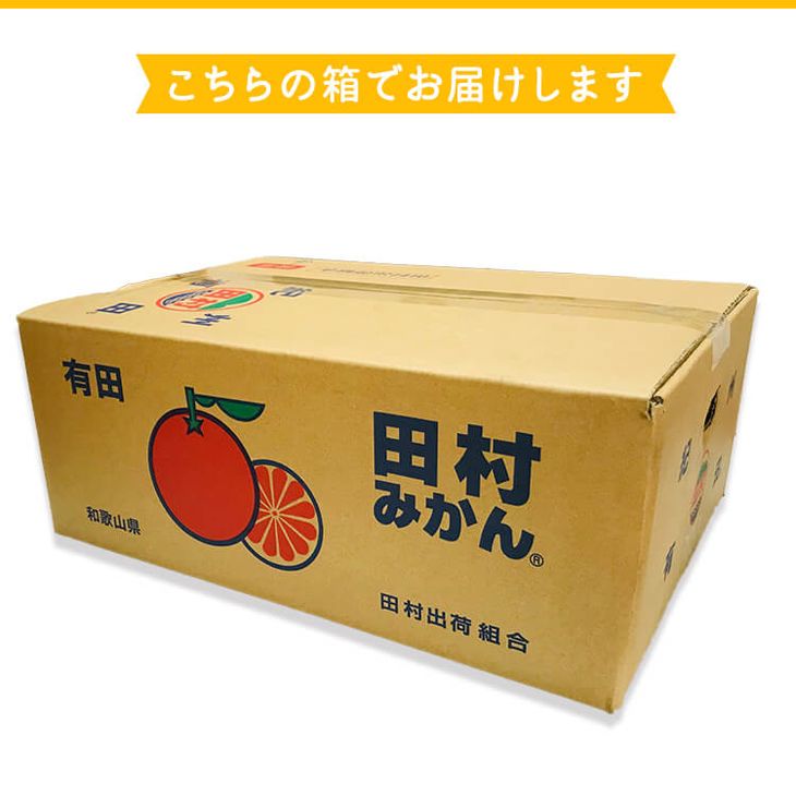 AB7114n_【和歌山特産品】【プレミアムブランド】絶品！ 田村みかん 5kg (2Lサイズ)