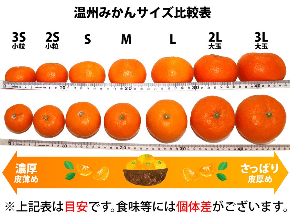 訳あり 湯河原 みかん混合 15キロ箱 - 果物