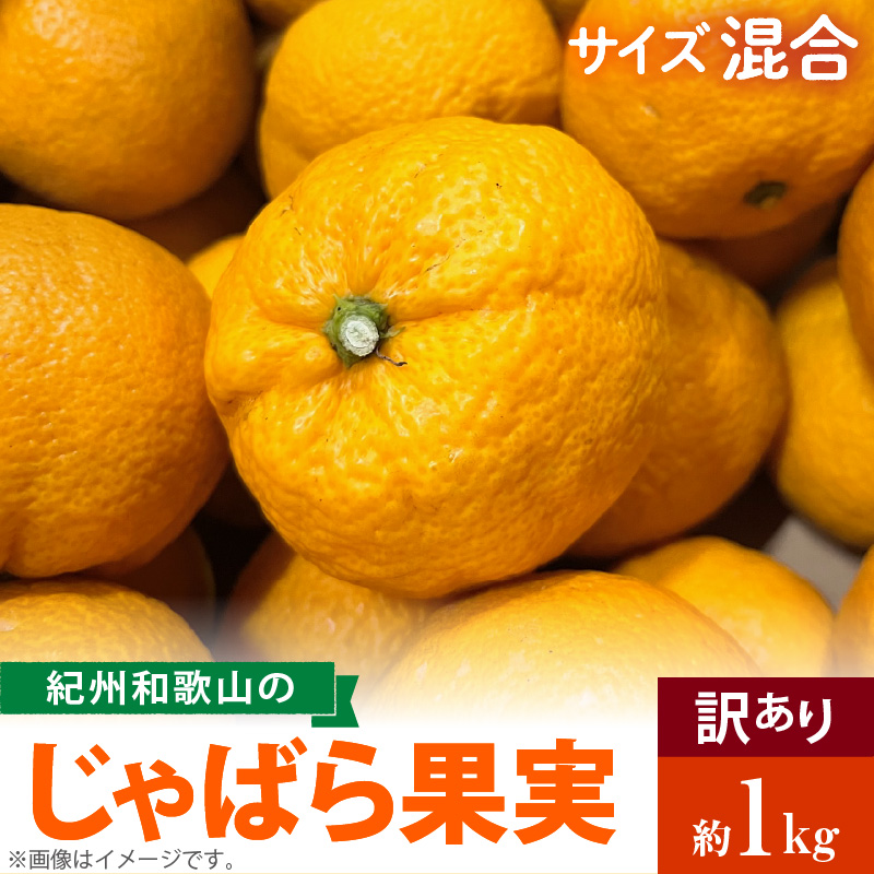 AB7033n_（国産）紀州和歌山の じゃばら 果実（訳あり ジャバラ 家庭用）1kg