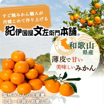 V7420_ブランド有田みかん【Ｌ】秀品10kg／産地直送／薄皮で甘い美味しい和歌山県産／紀伊国屋文左衛門本舗（お届け日指定不可）