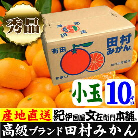 V6058_【2024年 先行予約】田村みかん 10kg 秀品 【小玉サイズ】