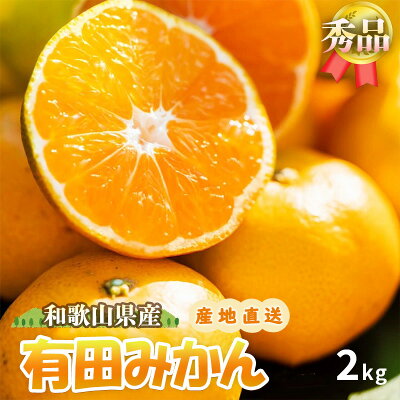 ZE6415_【先行予約】【秀品】有田みかん 和歌山県有田産 2kg (2S～Lサイズ混合) 【まごころ手選別】