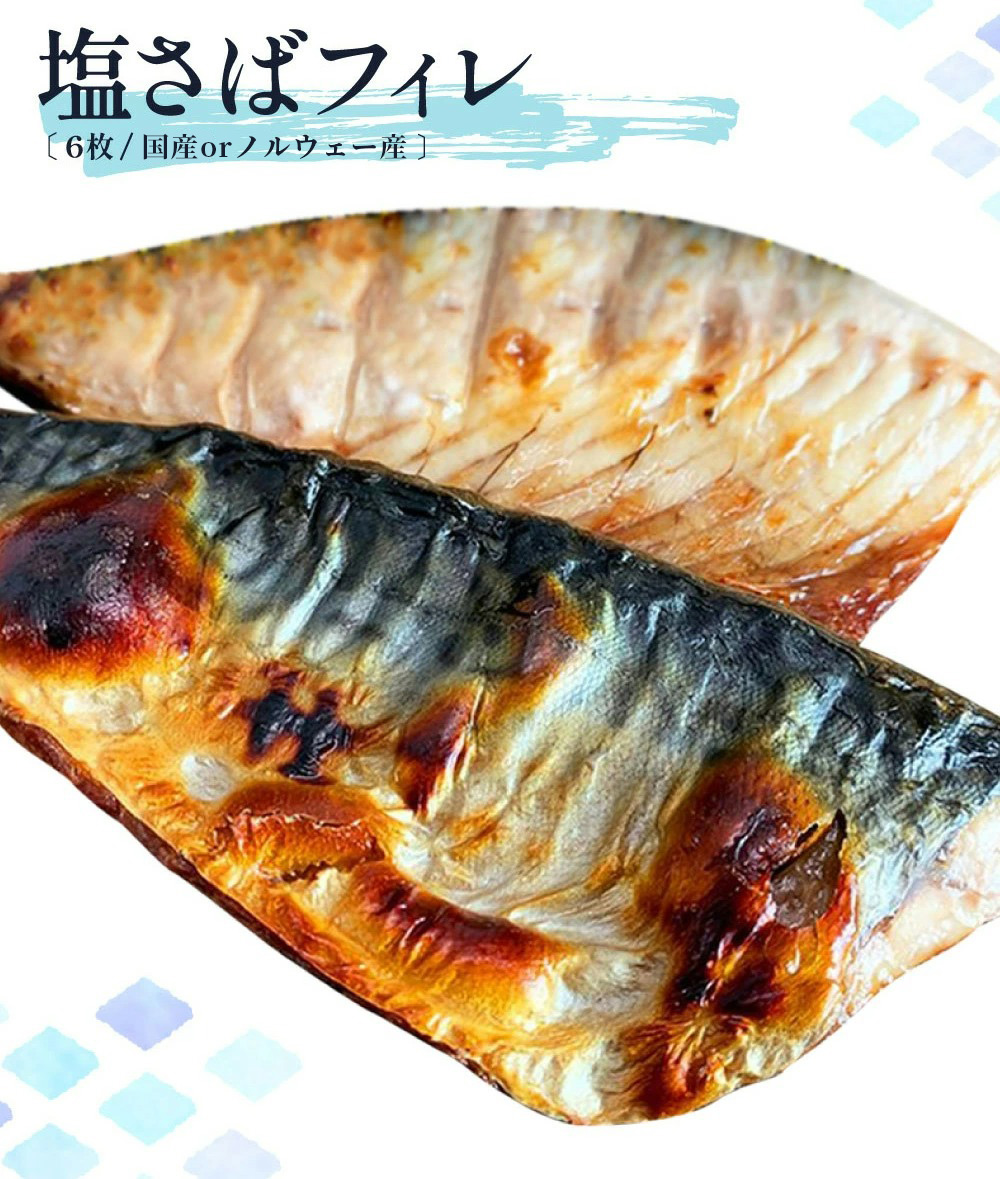 G7010_迷ったらコレ！！魚鶴商店の天然紅サケ 1kg & 塩さば 6枚セット