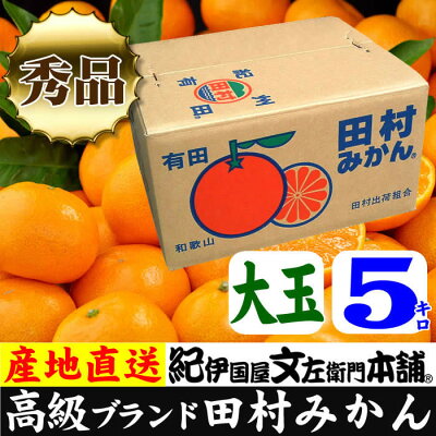 V7299_【2024年 先行予約】田村みかん / 5kg秀品【大玉サイズ】/ 紀州和歌山有田郡湯浅町田村地区産 / 最高級プレミアムブランドの田村ミカン 
/ 紀伊国屋文左衛門本舗(お届け日指定不可)