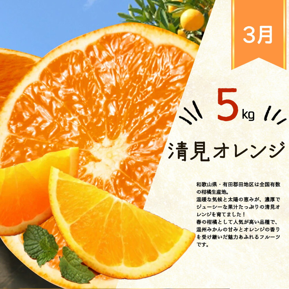 G60-T31_【定期便 全4回】紀州和歌山産旬の柑橘セット（みかん・ポンカン・清見・なつみ）