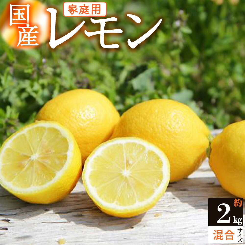 ZS6154_主井農園 国産レモン ご家庭用 2kg サイズ混合 - ふるさと