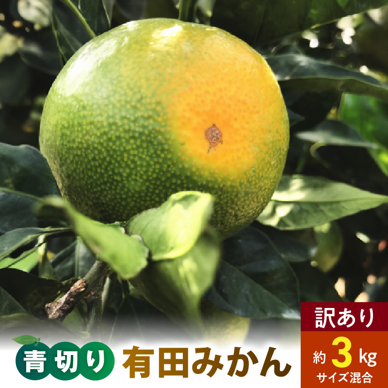 AB7141_【先行予約】【旬の果実】有田育ちの濃厚 青切り有田みかん【訳あり 家庭用】 3kg (サイズ混合)