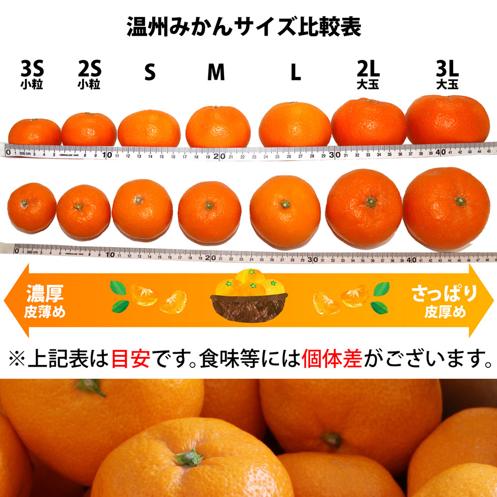 ZA95021_（先行受付）田村みかん 約10kg(大玉:2L～3L・混合サイズ)　紀州グルメ市場