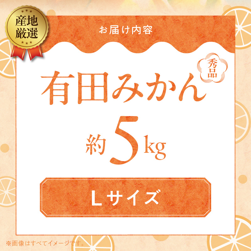 ZA95004_（先行予約）産地厳選 有田みかん 秀品 約5kg(Lサイズ)　紀州グルメ市場