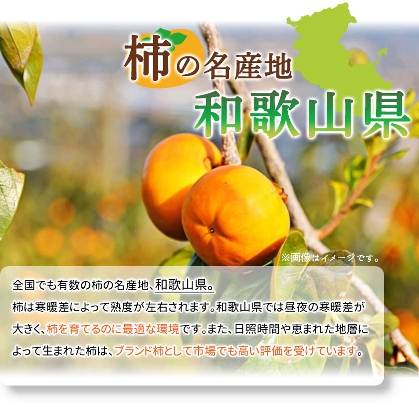 G7111_【2024年 先行予約】和歌山秋の味覚 富有柿 約4kg 化粧箱入