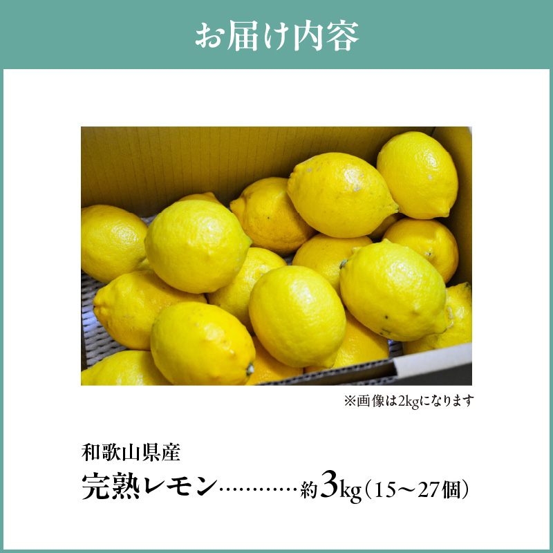 EA6011n_和歌山県産 完熟 レモン 3kg 皮まで使用可能（栽培期間中農薬不使用）