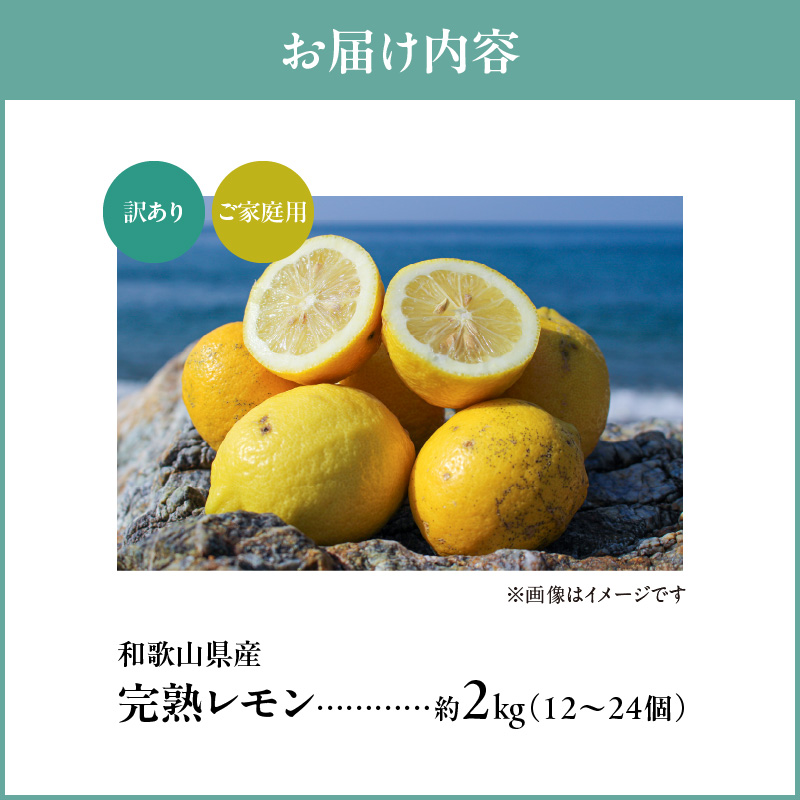 EA6021n_【訳あり・ご家庭用】完熟 レモン 2kg 皮まで使用可能（栽培期間中農薬不使用）