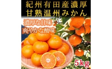 紀州有田産濃厚甘熟温州みかん5kg
※2024年11月下旬?2025年1月下旬頃に順次発送予定