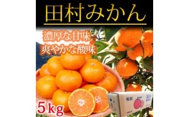 高級ブランド田村みかん　５kg
※2024年11月下旬〜2025年1月下旬頃に順次発送予定