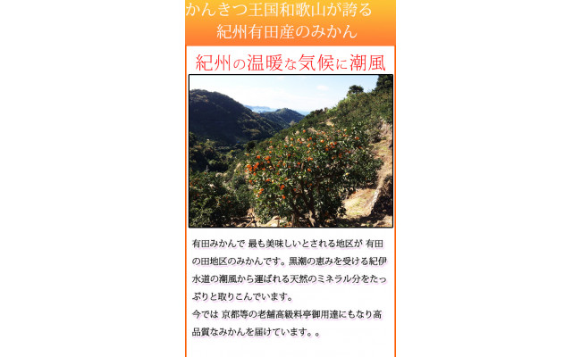 【ご家庭用訳あり】紀州和歌山有田産温州みかん7.5kg
※2024年11月下旬?2025年1月下旬頃に順次発送予定