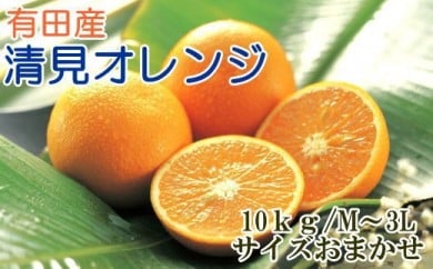 【厳選】有田産清見オレンジ約10kg（サイズおまかせ・秀品）※2024年2月上旬～3月下旬頃に順次発送予定