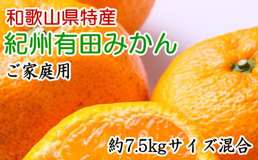 [ご家庭用]有田みかん約7.5kg(サイズ混合)　※2024年11月中旬～2025年1月中旬頃に順次発送予定