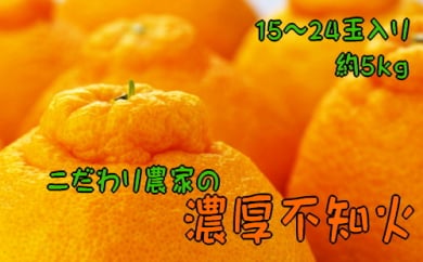 【先行予約】こだわり農家の濃厚不知火（デコポンと同品種） 15～24玉（約5kg）　※2024年2月上旬～3月下旬頃に順次発送予定