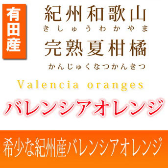 【ご家庭用訳あり】希少な国産バレンシアオレンジ 7kg ※2025年6月下旬～7月上旬頃に順次発送予定