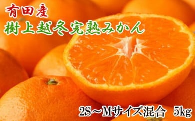 【濃厚・まろやか】有田産樹上越冬完熟みかん5kg（2S～Mサイズ混合） ふるさと納税 ミカン ※2025年1月下旬～2月中旬頃に順次発送予定※着日指定不可※離島への配送不可