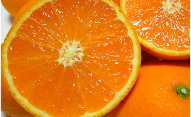 【先行予約】【春の美味】【農家直送】濃厚清見オレンジ（ご家庭用）約5kg
※2025年2月下旬～4月中旬頃に順次発送予定
※北海道・沖縄・離島への配送不可
