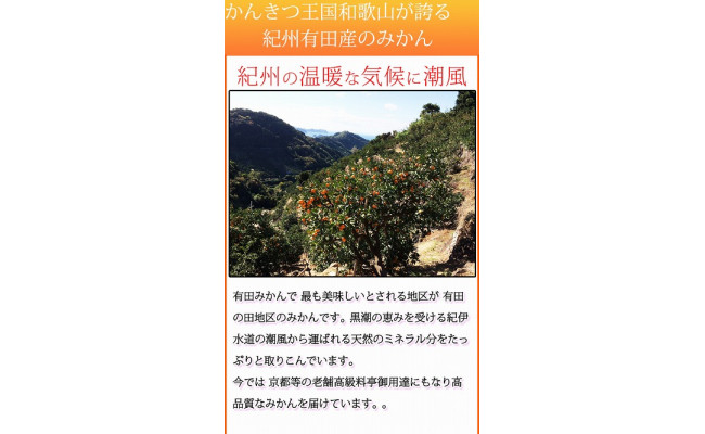 高級ブランド田村みかん　１０kg　大玉サイズ
※2024年11月下旬〜2025年1月下旬頃に順次発送予定