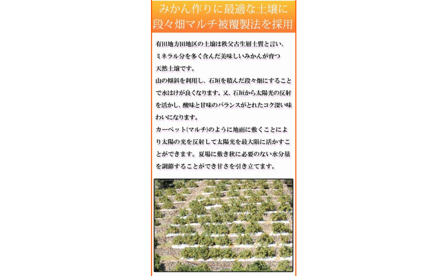 高級ブランド田村みかん　１０kg　大玉サイズ
※2024年11月下旬?2025年1月下旬頃に順次発送予定