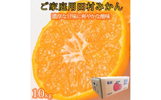 【ご家庭用訳あり】田村みかん　１０kg
※2024年11月下旬〜2025年1月下旬頃に順次発送予定