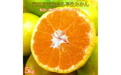 紀州和歌山有田産ゆら早生みかん 5kg ※2025年10月上旬～10月末頃に順次発送予定