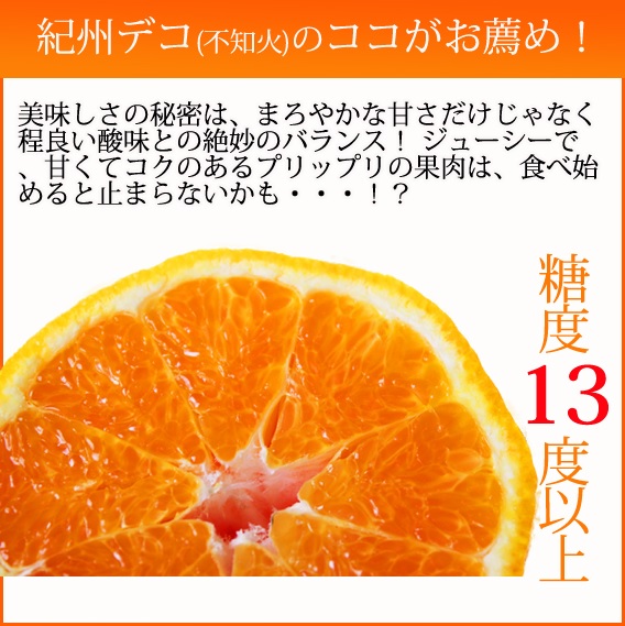 高級ブランド田村の完熟紀州デコ(不知火) ※2025年2月中旬〜3月中旬頃に順次発送予定