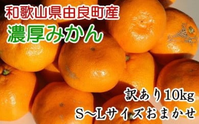 【訳あり・ご家庭用】和歌山由良町産のみかん約10kg
※2023年12月上旬～12月下旬頃に順次発送予定