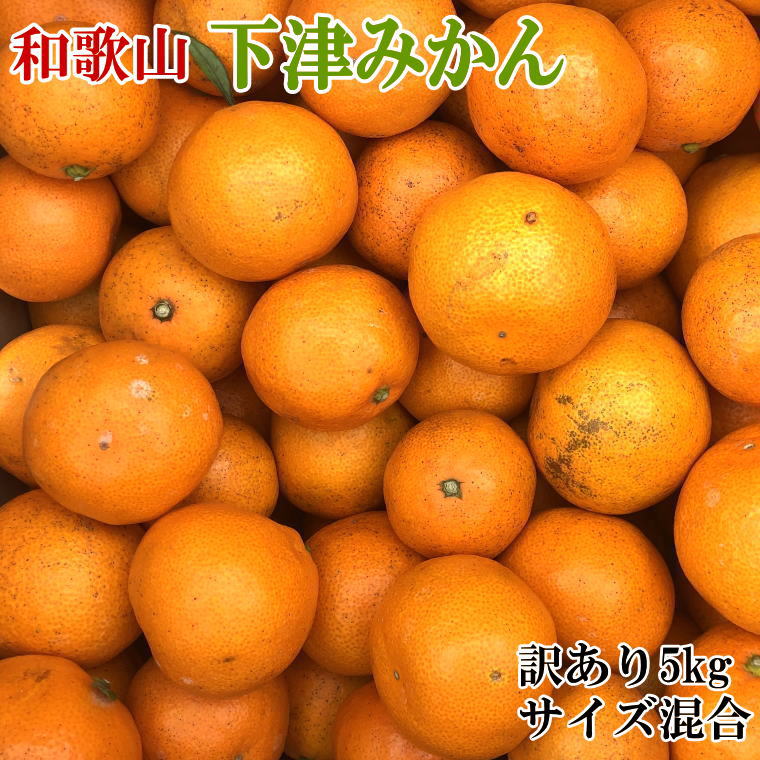 【訳あり】和歌山下津みかん5kgご家庭用向け(サイズ混合)
※2024年11月中旬～2025年1月中旬頃に順次発送予定