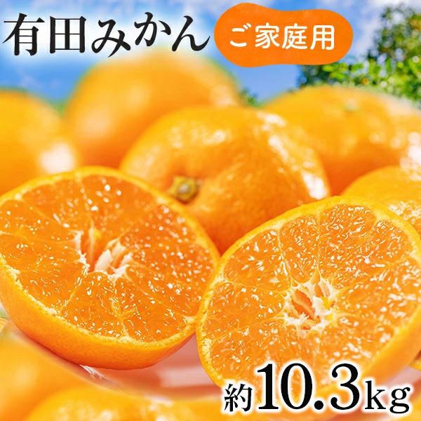 【先行予約】【数量限定】濃厚有田みかん（ご家庭用）約10.3kg 【2024年11月上旬～11月下旬頃発送】または【2024年12月上旬～12月下旬頃発送】
※北海道・沖縄・離島への配送不可