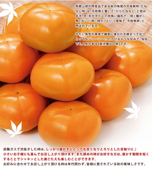 和歌山県産 平核無柿＜ご家庭用＞約10kg【2023年10月上旬頃～順次発送予定】| 種なし 果物 フルーツ
※離島への配送不可