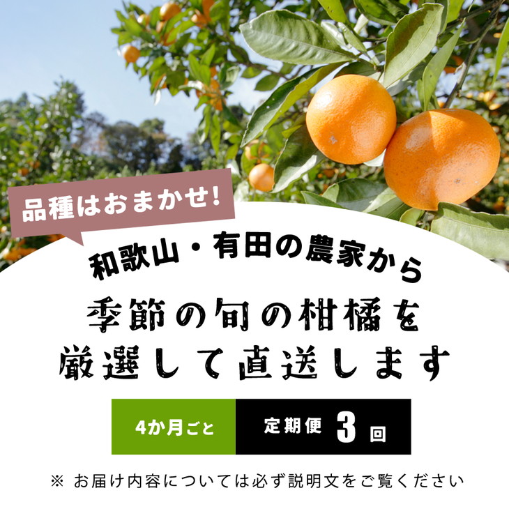 【定期便/4か月ごと/全3回】厳選・和歌山の季節の柑橘3kg農家直送フルーツ定期便 | 有田 みかん 蜜柑 オレンジ 八朔 せとか ポンカン セミノール バレンシア いよかん 不知火 ※北海道・沖縄・離島への配送不可