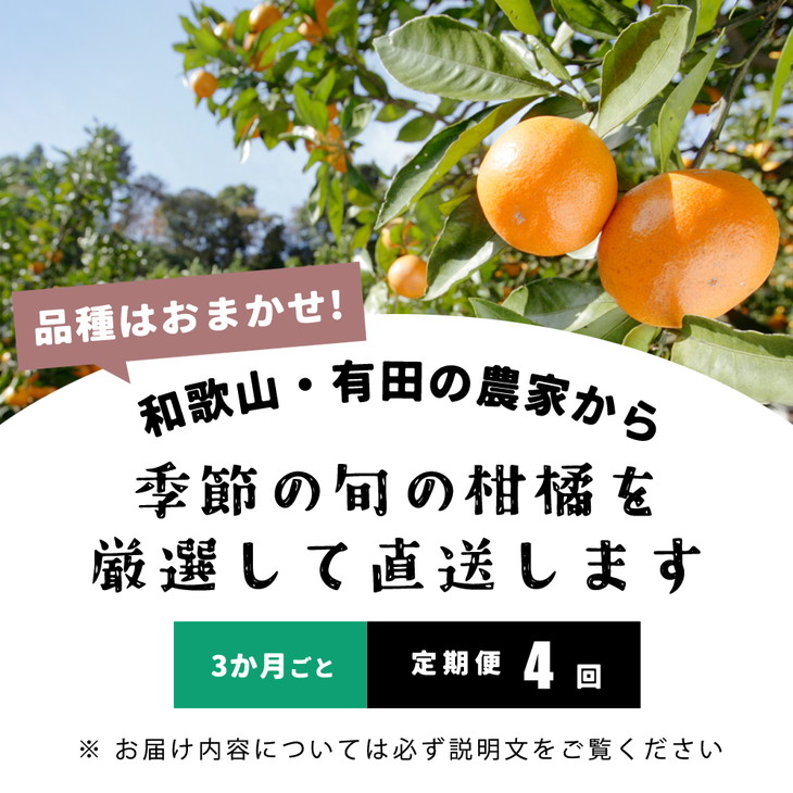 【定期便/3か月ごと/全4回】厳選・和歌山の季節の柑橘3kg農家直送フルーツ定期便 | 有田 みかん 蜜柑 オレンジ 八朔 せとか ポンカン セミノール バレンシア いよかん 不知火 ※北海道・沖縄・離島への配送不可