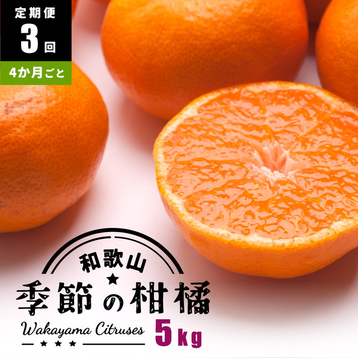 【定期便/4か月ごと/全3回】厳選・和歌山の季節の柑橘5kg農家直送フルーツ定期便 | 有田 みかん 蜜柑 オレンジ 八朔 せとか ポンカン セミノール バレンシア いよかん 不知火 ※北海道・沖縄・離島への配送不可